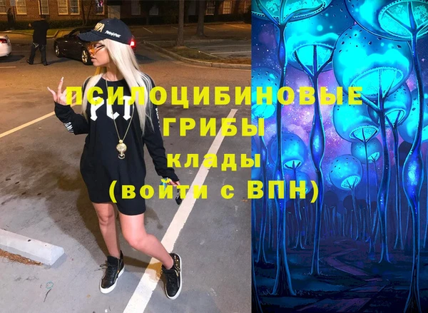 Альфа ПВП Чердынь