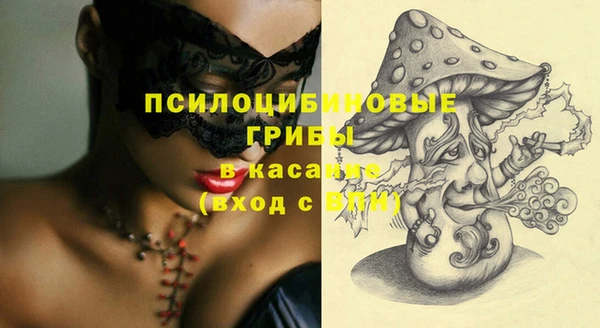 твердый Аркадак